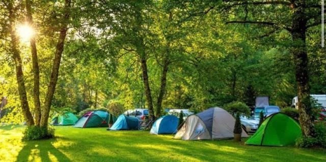 İstanbul’a Yakın Kamp Alanları | 9 Muhteşem Kamp Alanı