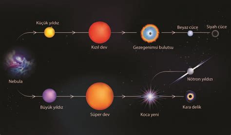Bir Yıldız Doğar: Nötron Yıldızının Doğuş ve Ölümü