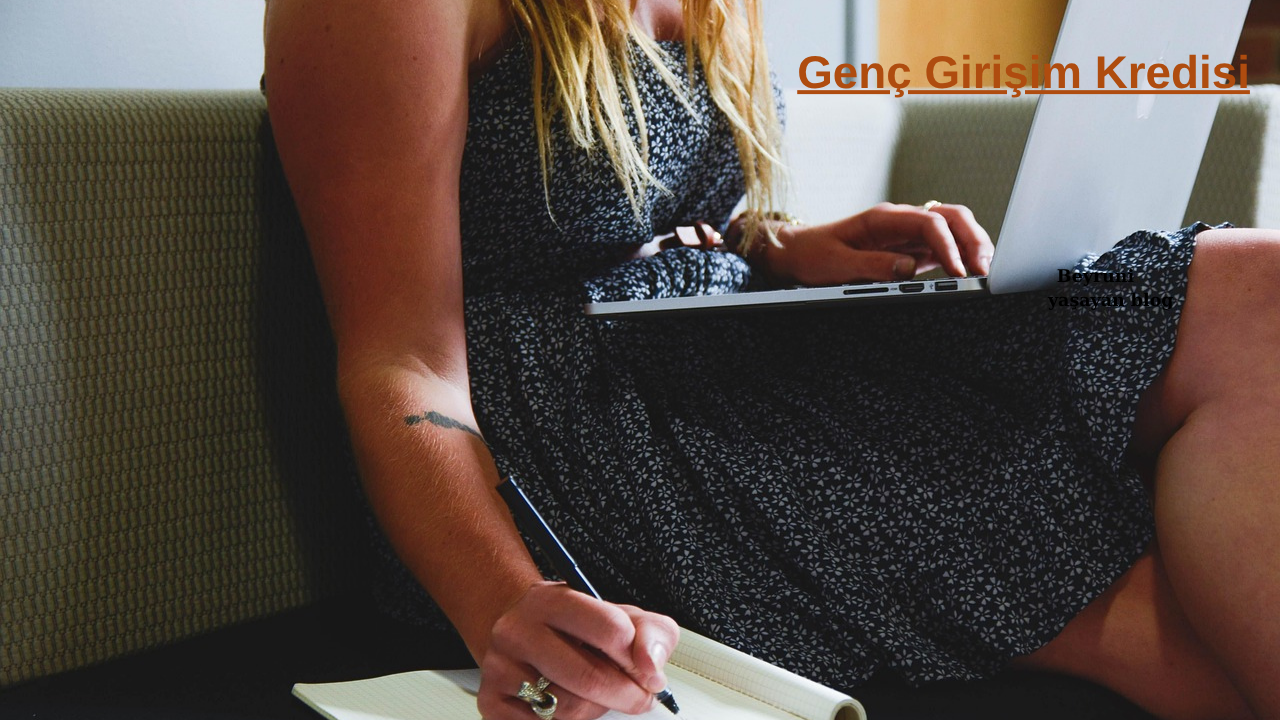 Genc-Girisim-Kredisi