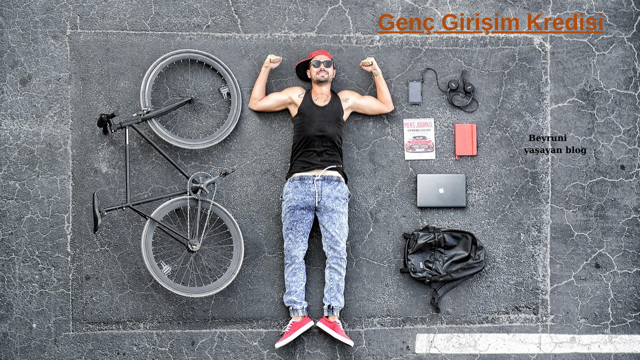 Genc-Girisim-Kredisi