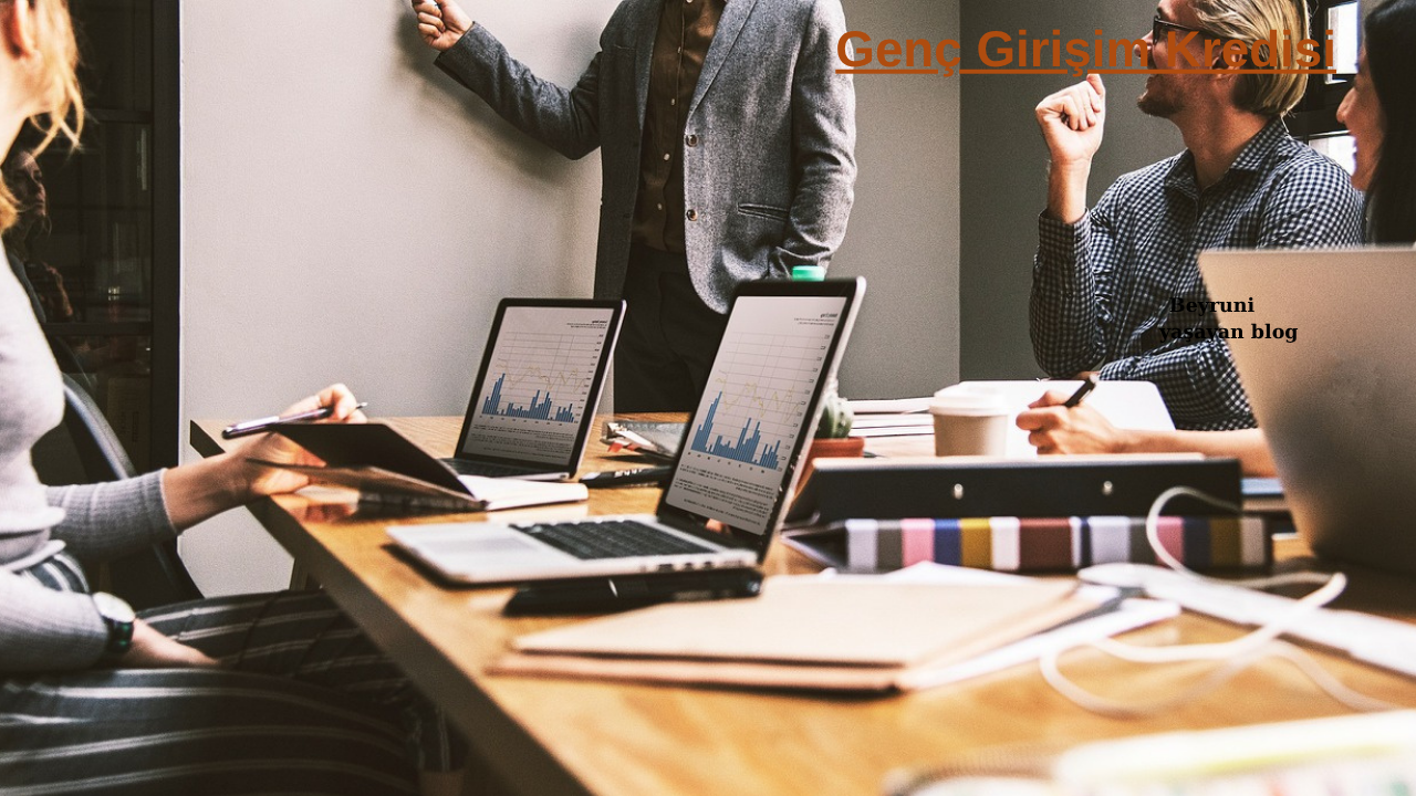 Genc-Girisim-Kredisi