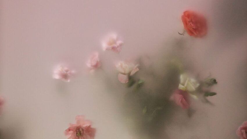 En İyi Resim Kalite Arttırıcı Uygulamaları