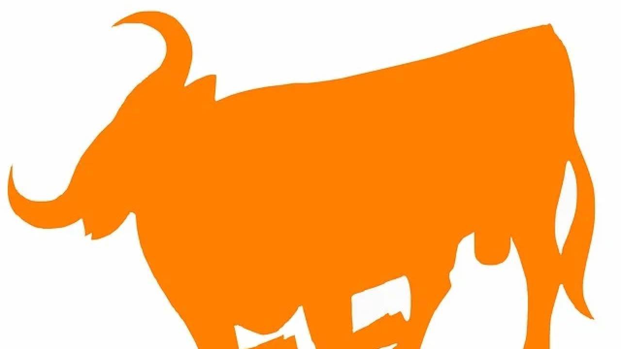 cin-astrolojisine-gore-burclar