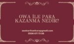 OWA ile Para Kazanma Nedir?