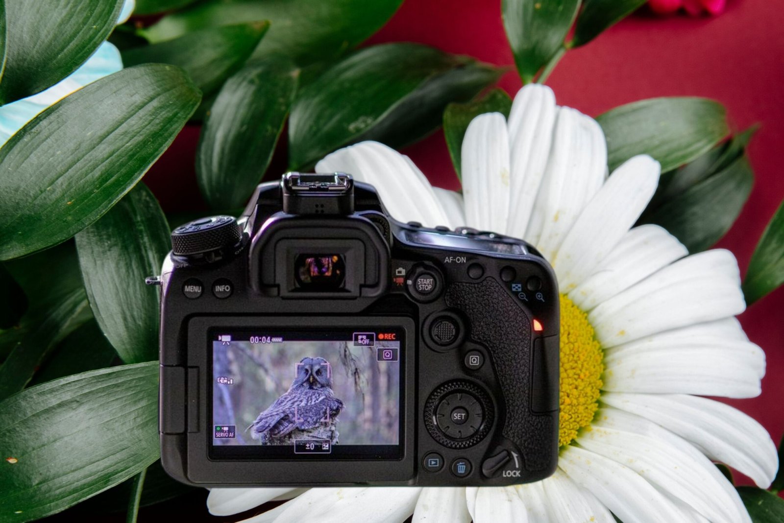 Kompakt Fotoğraf Makinesi